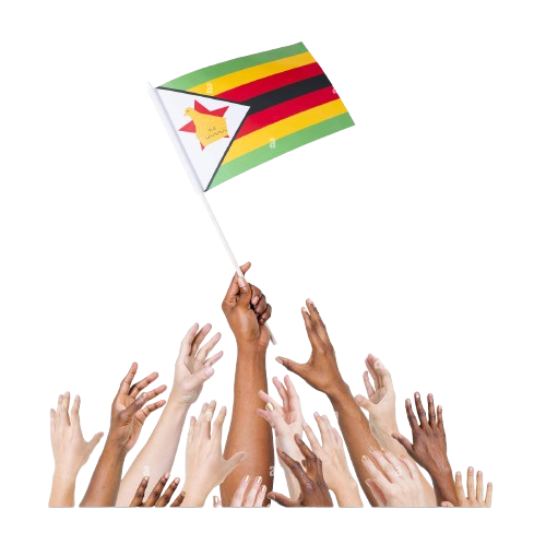 group-of-multi-ethnic-people-reaching-for-and-holding-the-flag-of-ER436G-removebg-preview